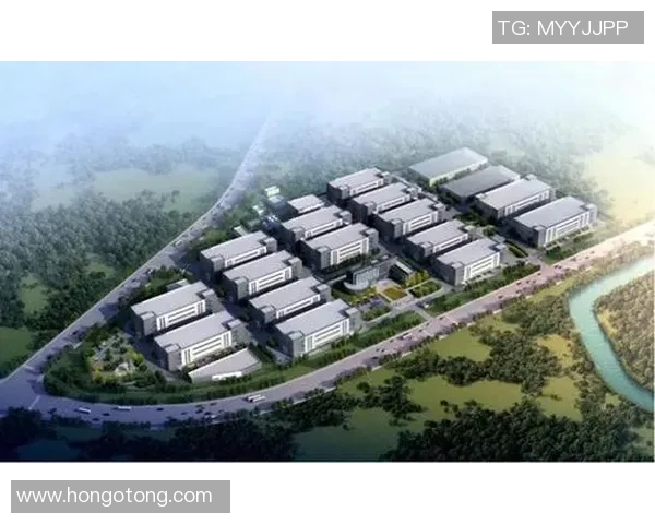 成都乒乓球队防守革新之路探秘与未来发展展望